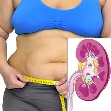 Fat on the belly is a good sign of fat surrounding the kidneys